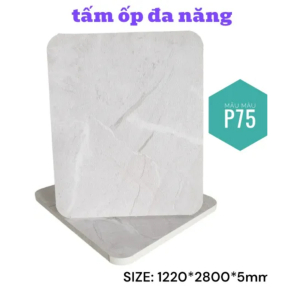 Tấm Ốp Than Tre Vân Đá – P75