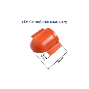 Tấm Úp Đuôi Mái