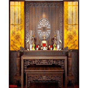 Tranh Điện Phòng Thờ Đứng TDDN - TC235